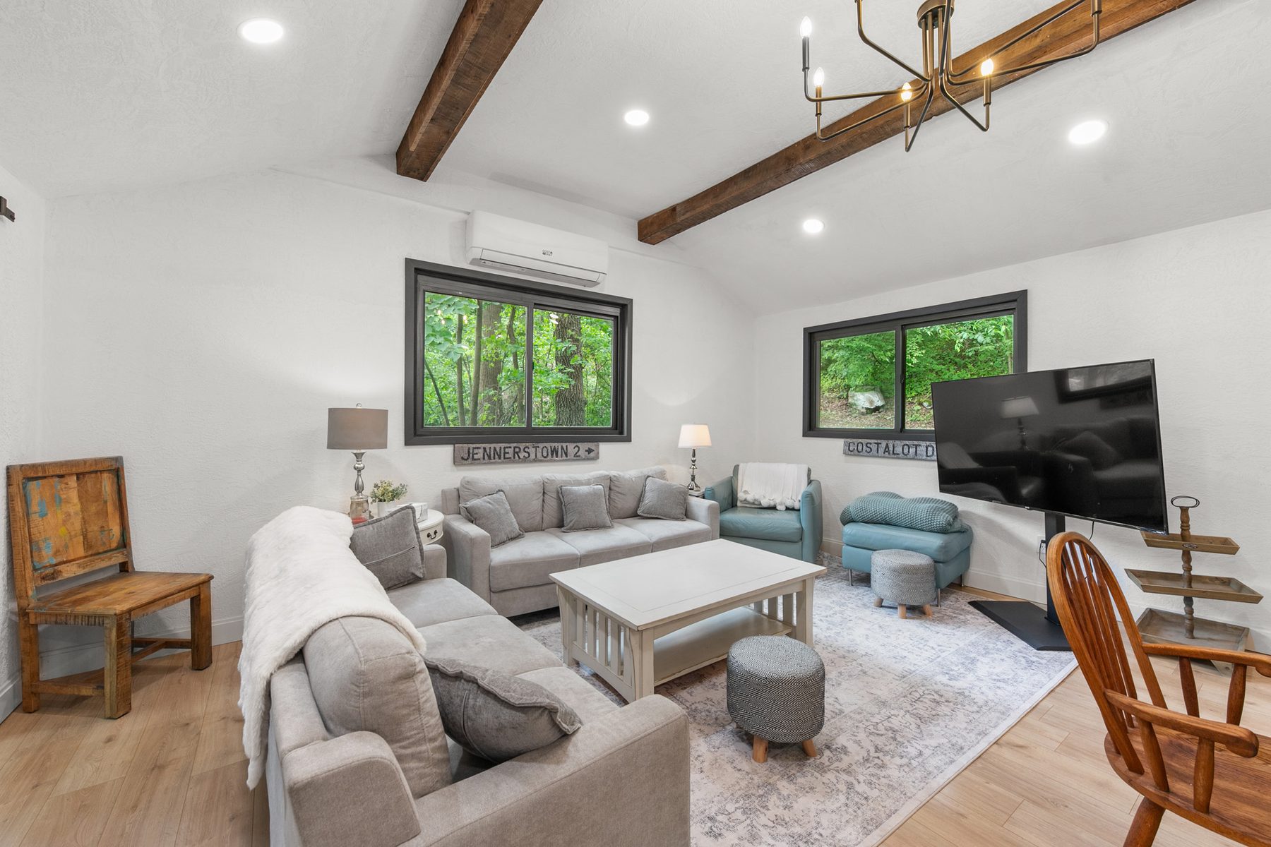 Living room with sofas and TV