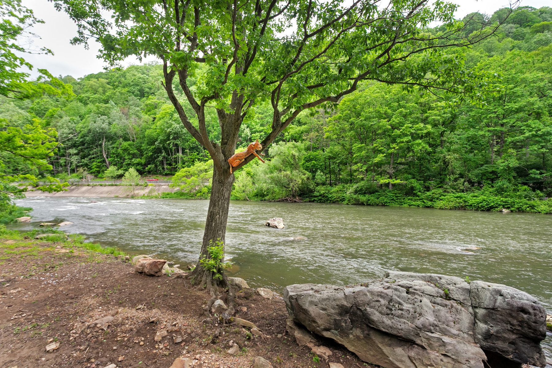 The Loyalhanna Creek at Kazi Acres